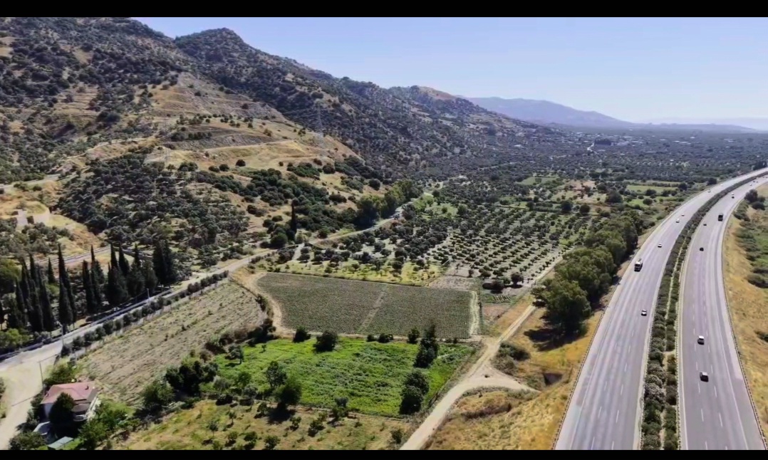 Aydın Efeler Kızılcaköy Mahallesinde 6950 m2 Satılık İncir Bahçesi